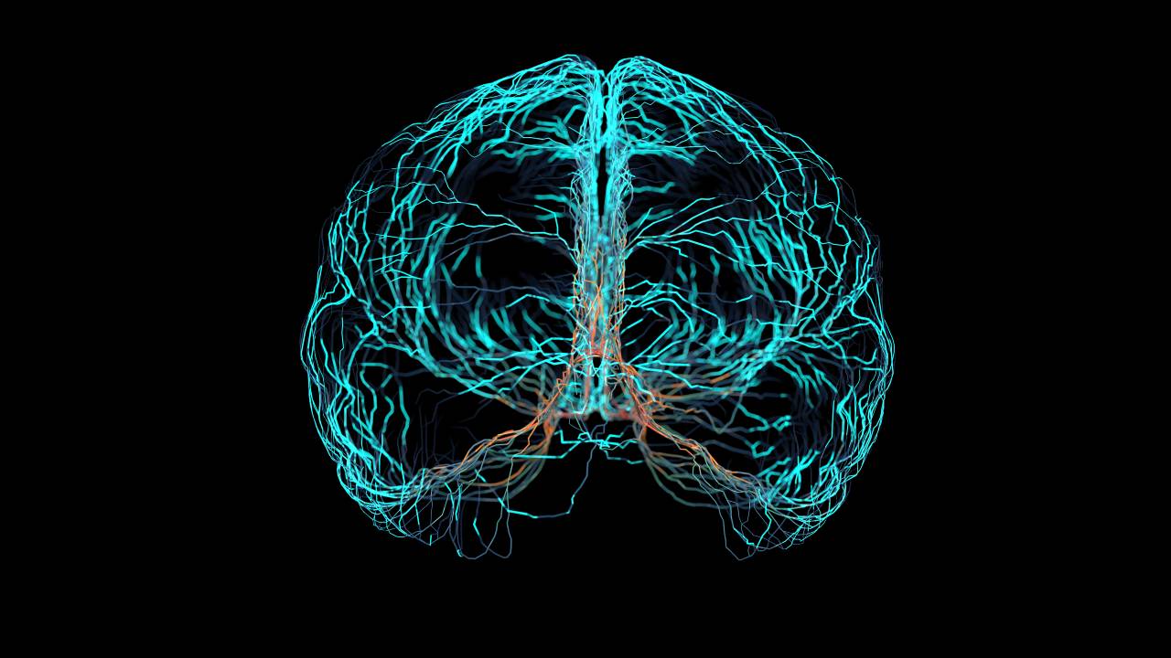 brain summary.jpg