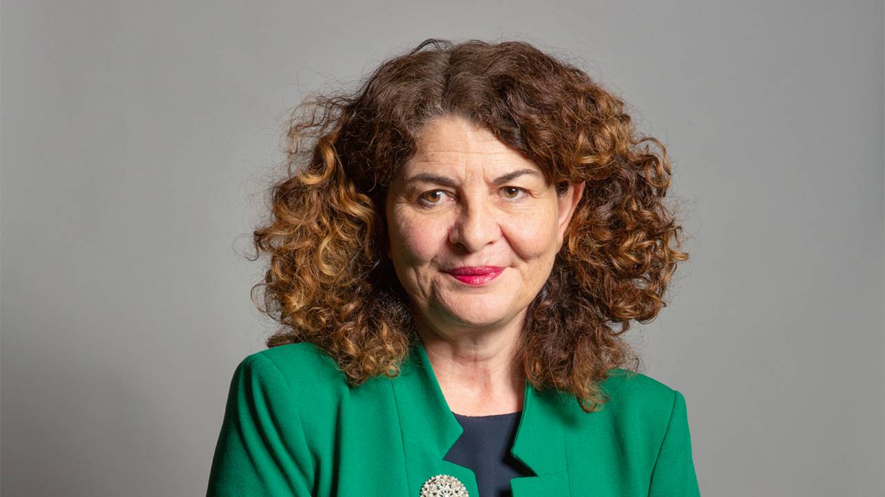 diana-johnson-summary