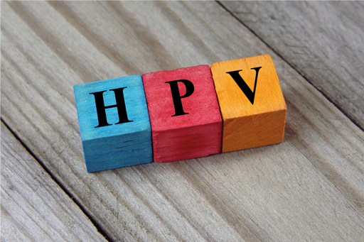 HPV_bricks.jpg