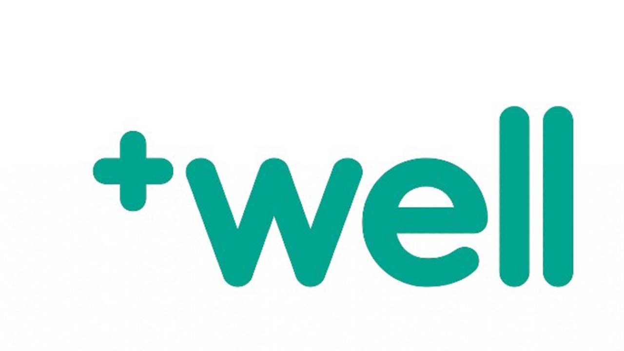 Well logo summary.jpg
